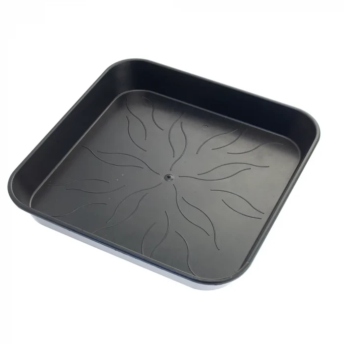 Square Saucer