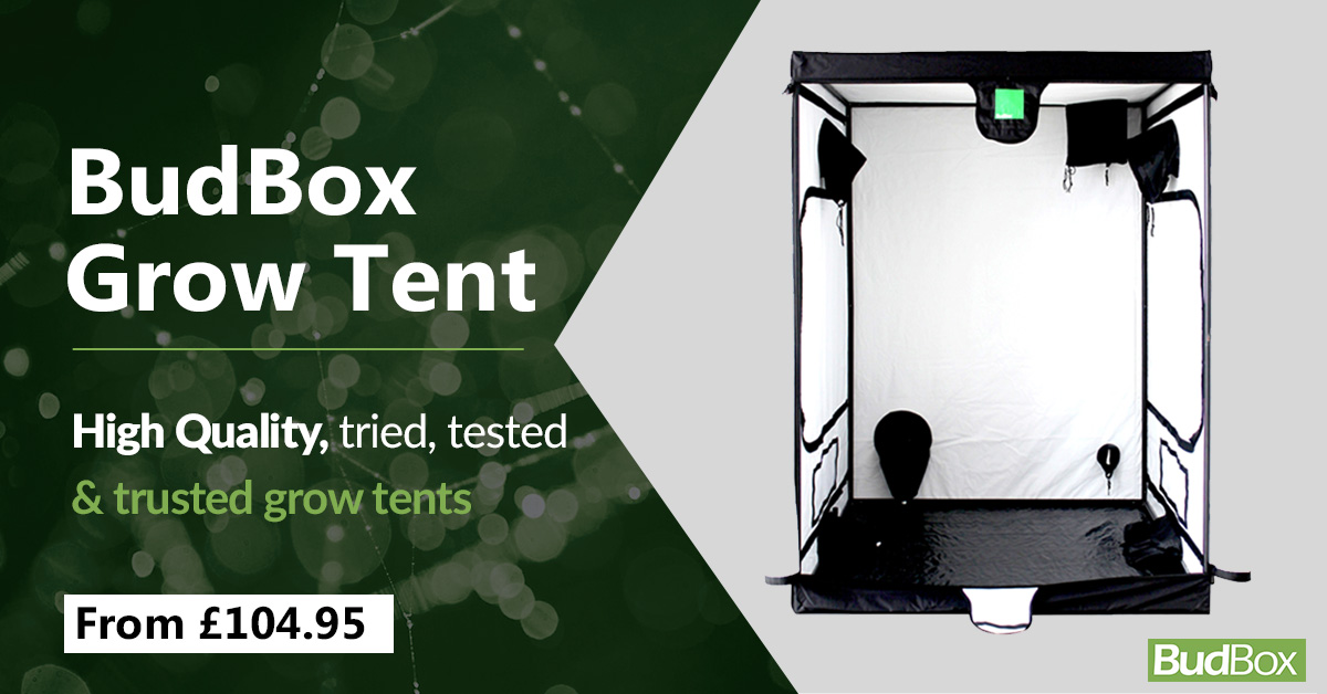 ProGrow™ Reflective Grow Tent 600D Hydroponics Indoor Growing 6'x4'x6.7' 