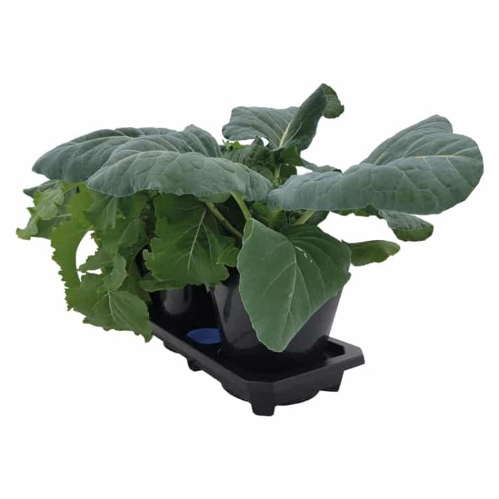Autopot Tray Systems 3XL - Image 2