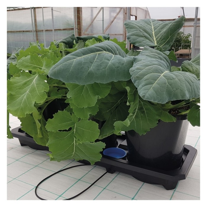 Autopot Tray Systems 3XL - Image 3