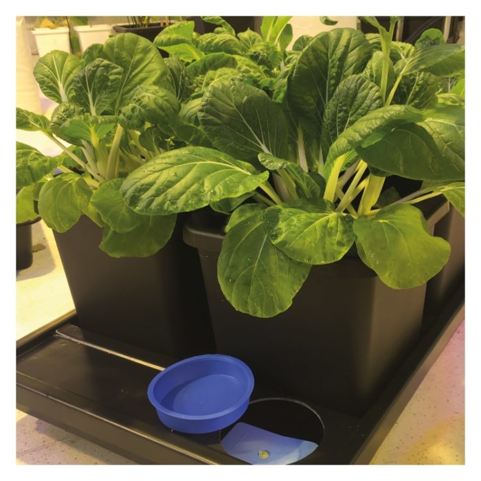 Autopot Tray Systems 8POT - Image 2