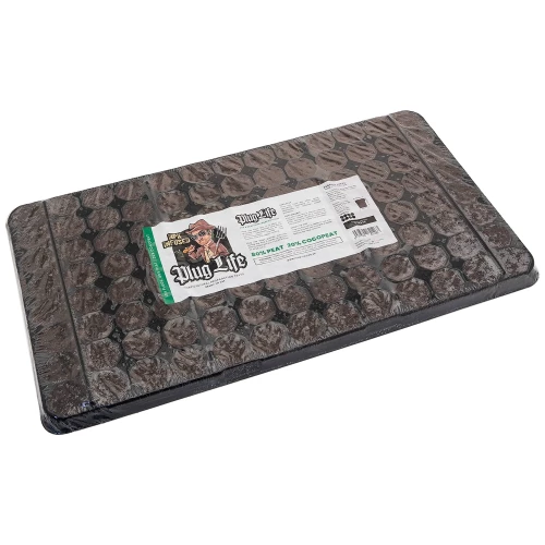 A 104 site tray of cocopeat plugs