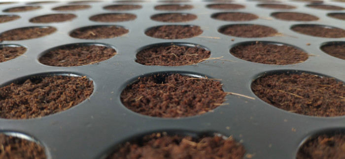 'Plug Life' Coco Peat Plug 104 Tray - Image 2
