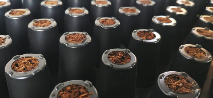 'Plug Life' Coco Peat Plug 104 Tray - Image 3