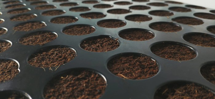'Plug Life' Coco Peat Plug 104 Tray - Image 4