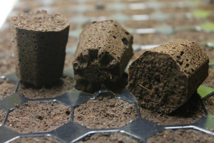 'Plug Life' Coco Peat Plug 104 Tray - Image 5