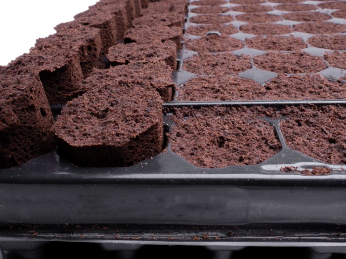 'Plug Life' Coco Peat Plug 104 Tray - Image 6