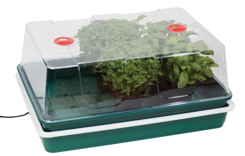 Garland XL High Dome Electric Propagator white bkg