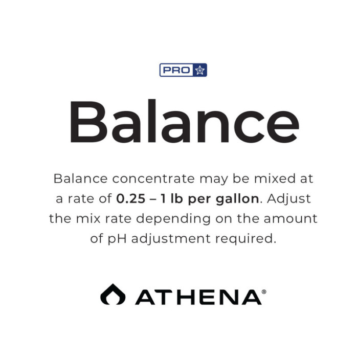 Athena Pro Line Balance Tip