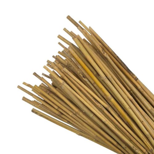 Bamboo Canes