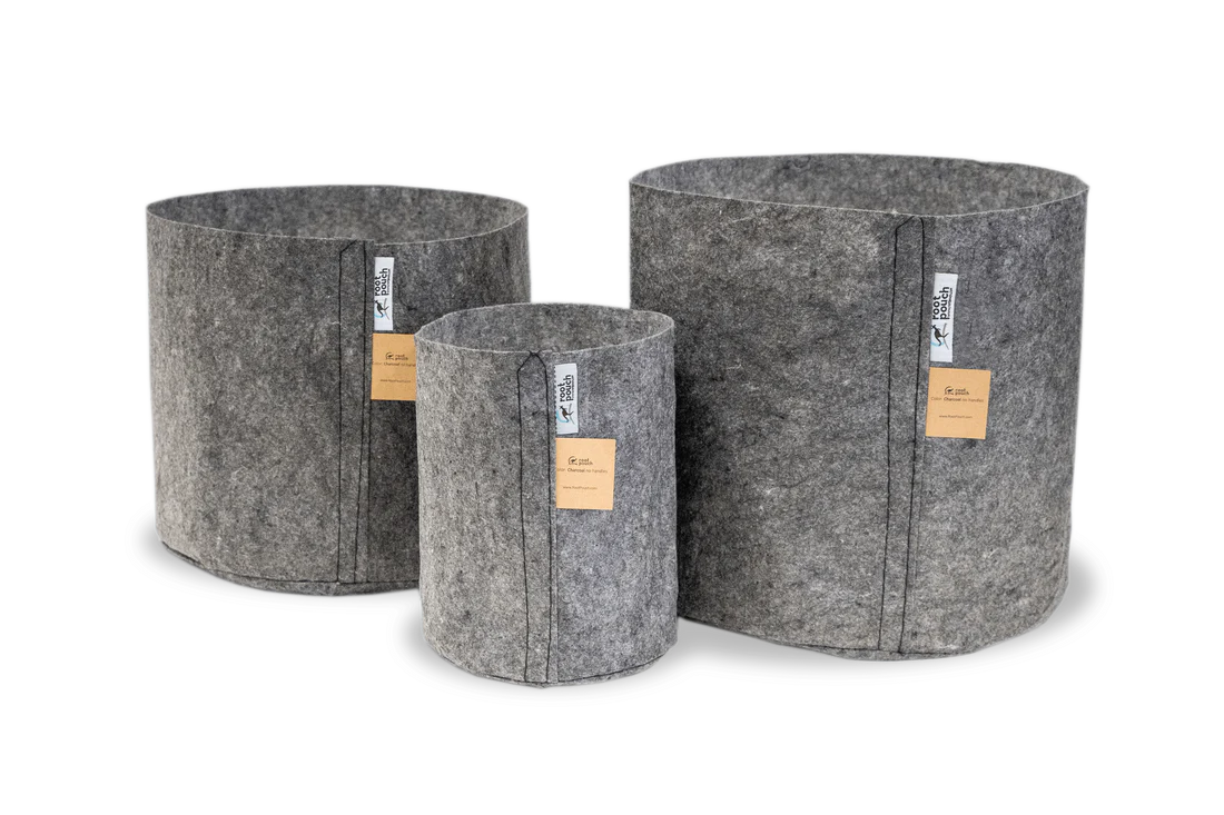 Root Pouch Fabric Pot - Charcoal Set