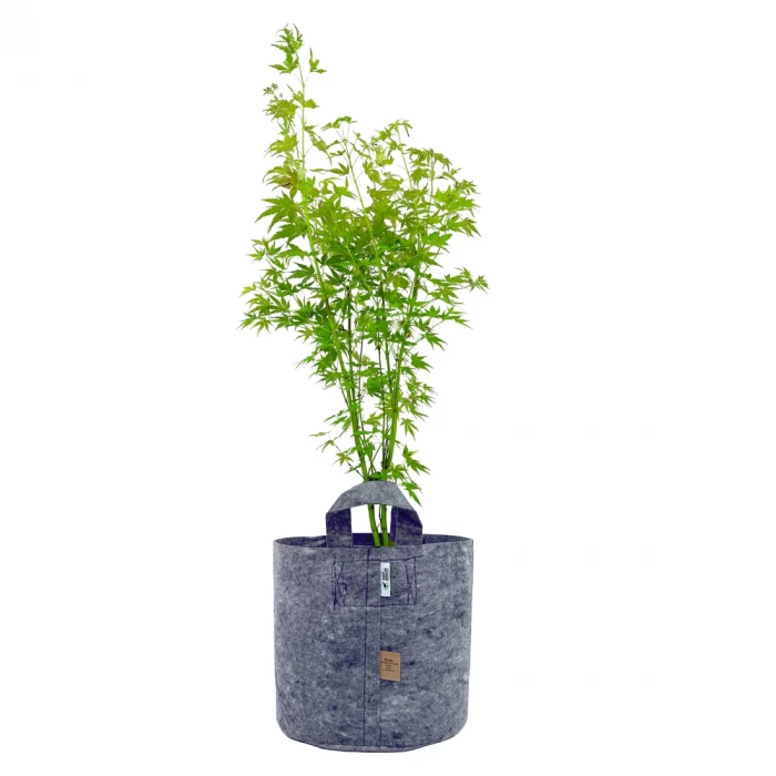 Root Pouch Fabric Pot Grey 22 litre with plant