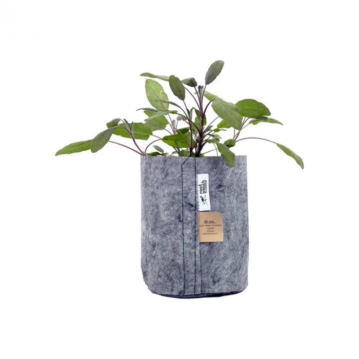 Root Pouch Fabric Pot Grey 3.8 litre with plant