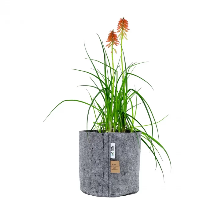 Root Pouch Fabric Pot Grey 8 litre with plant