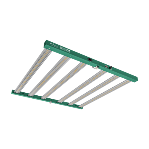 Adjusta Watt Intec LED below