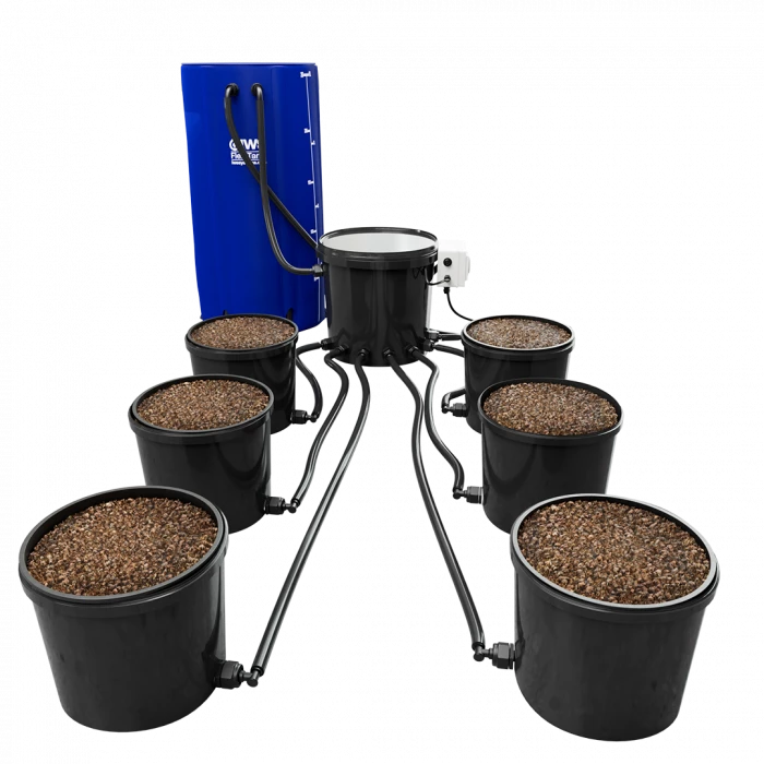 IWS Flood & Drain STD 6 Pot