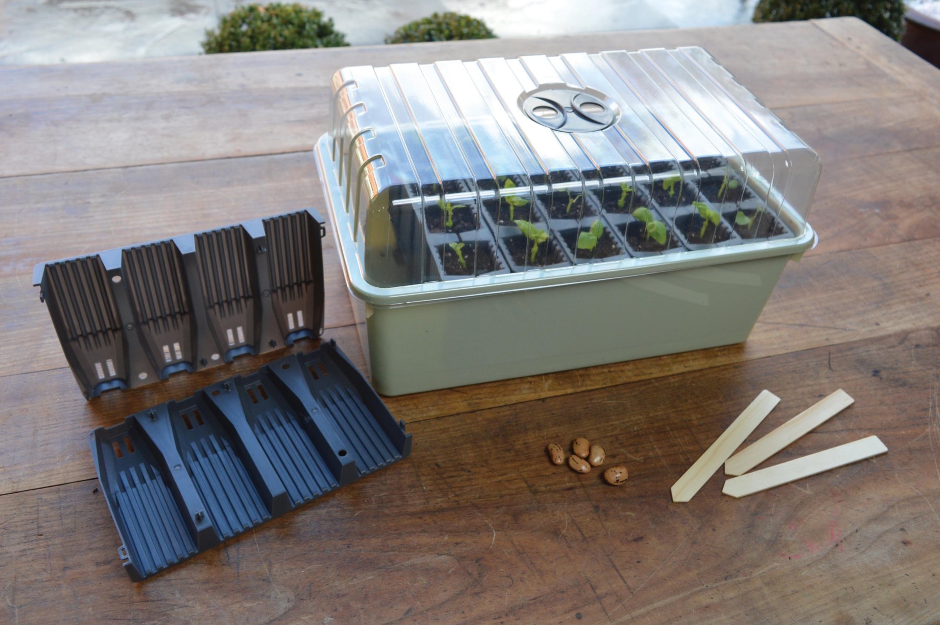 Garland 28 Cell Deep Root Success Kit