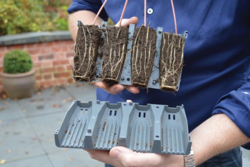 Garland 28 Cell Deep Root Success Kit showing deep roots grown within the cells