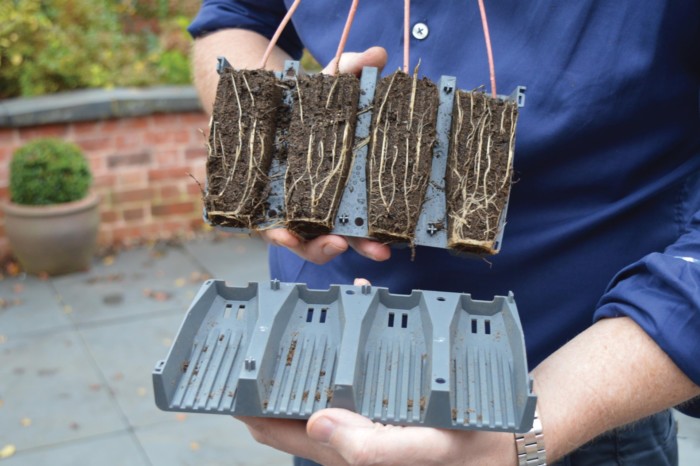 Garland 28 Cell Deep Root Success Kit showing deep roots grown within the cells